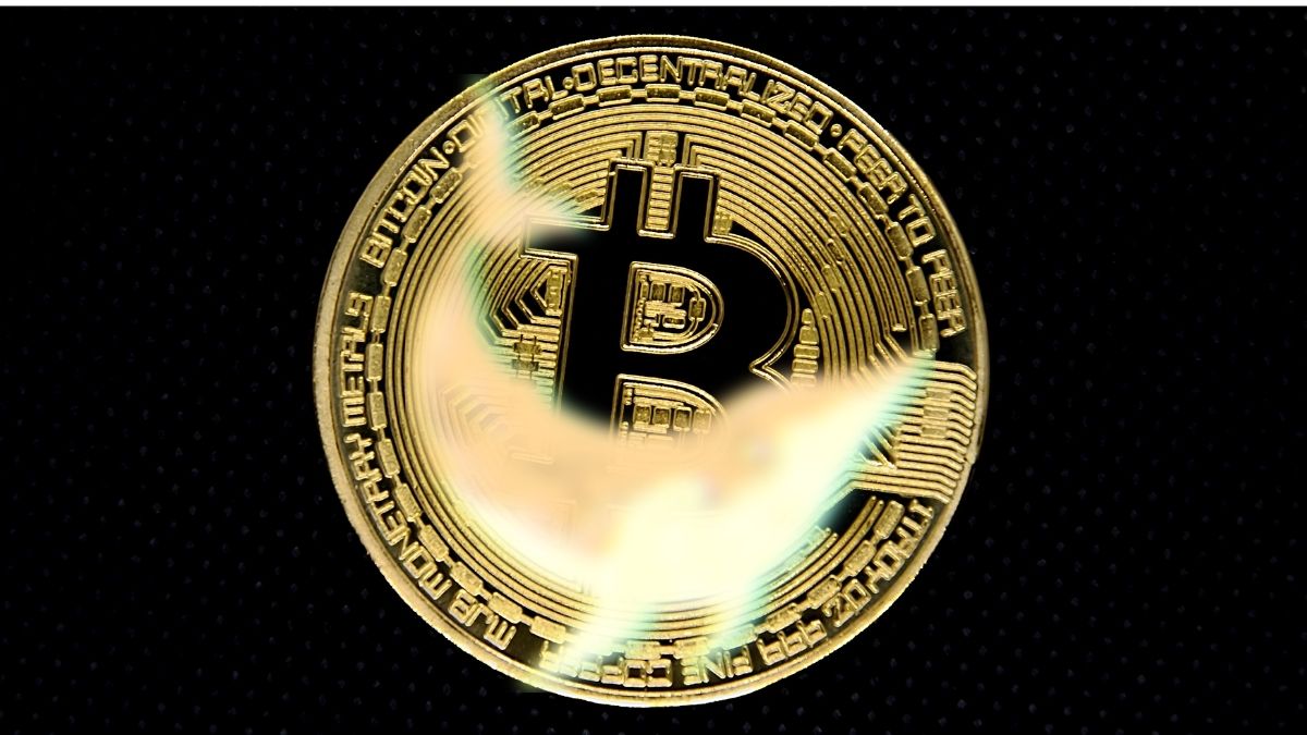 La Lucha por Ser la Mayor Ballena de Bitcoin Continúa: Terra y MicroStrategy Anuncian Nuevas Compras de BTC