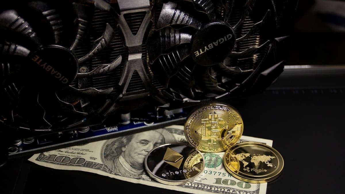 El Senado del Estado de Nueva York Bloquea la Creación de Nuevos Proyectos Mineros que Trabajen con POW