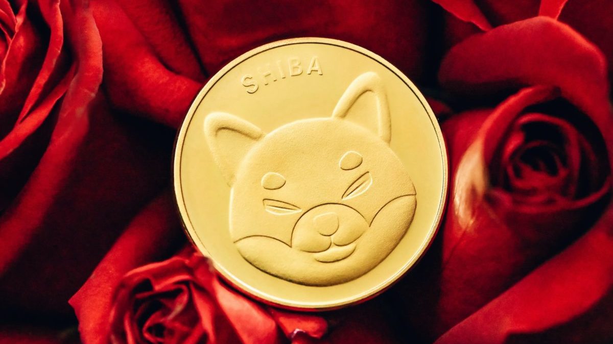 Shiba Inu Despega Tras Ser Listado en el Exchange RobinHood