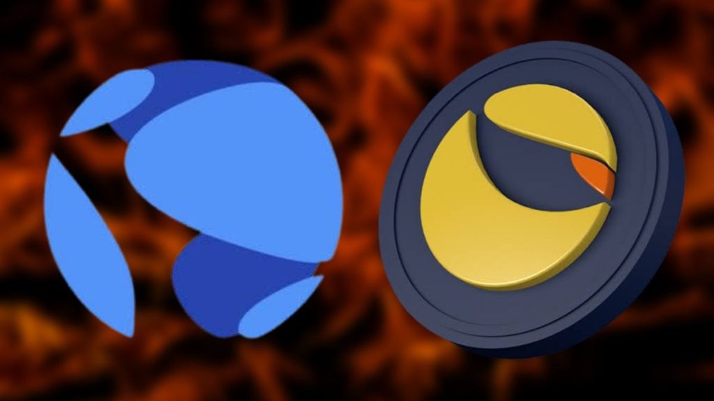 Los Usuarios de Terra Comienzan a Votar las Diferentes Propuestas para Intentar Salvar el Proyecto