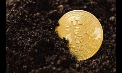 La República Centroafricana Pondrá en Marcha el Primer Centro de Inversión Legal en Criptomonedas del Continente