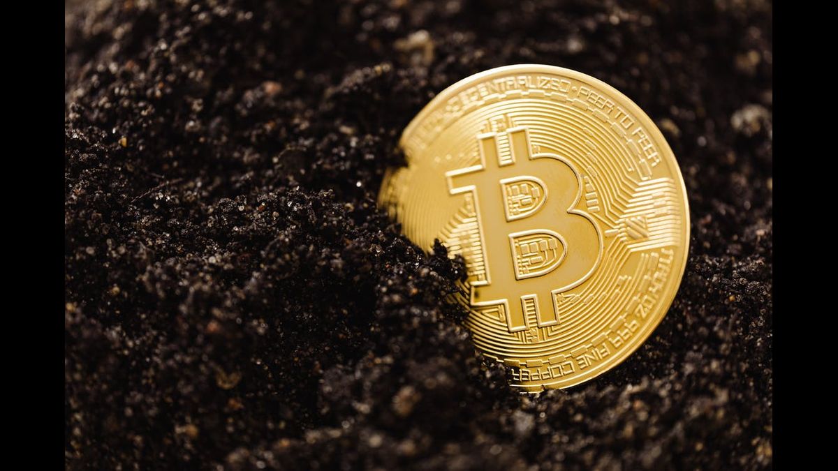 La República Centroafricana Pondrá en Marcha el Primer Centro de Inversión Legal en Criptomonedas del Continente