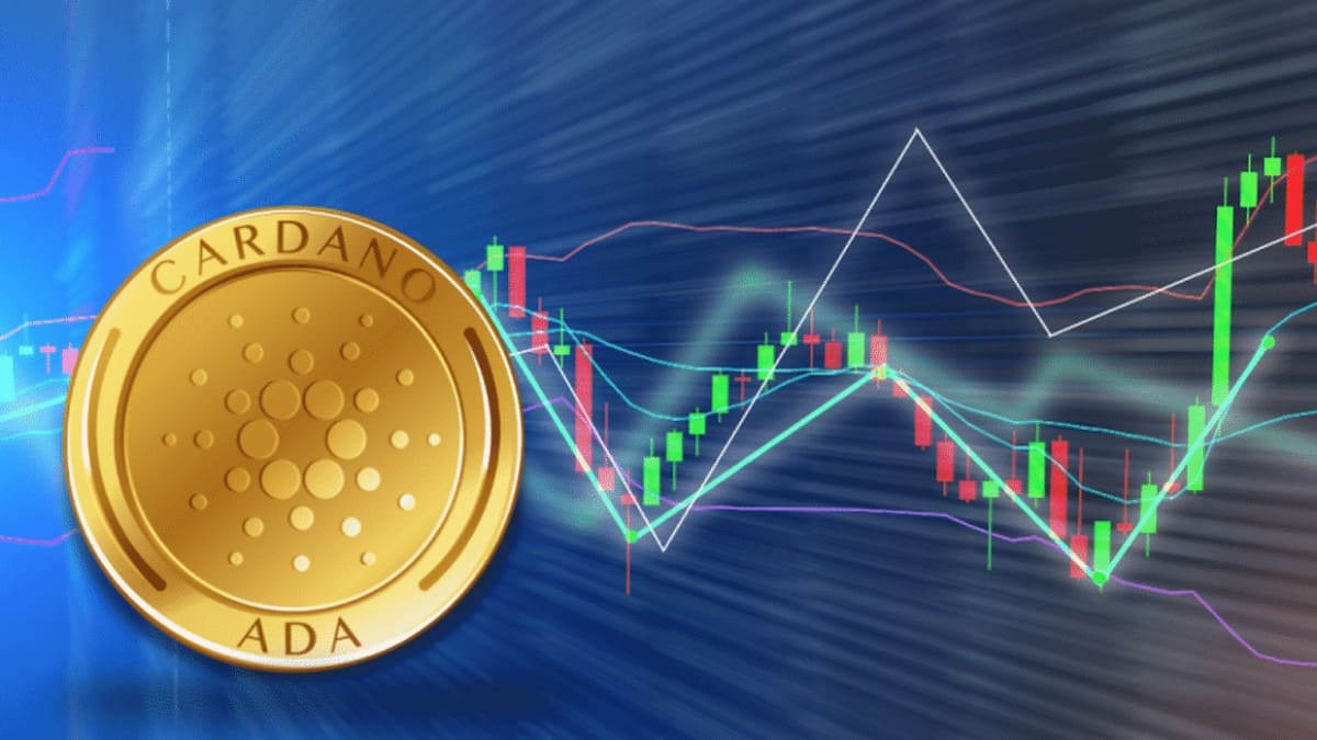 cardano up