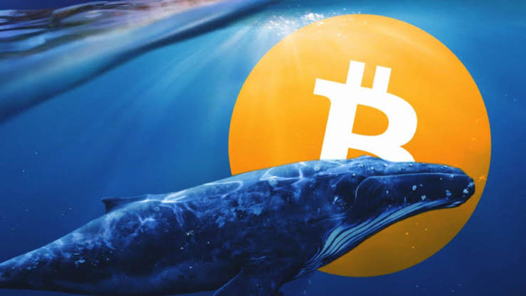 whale btc