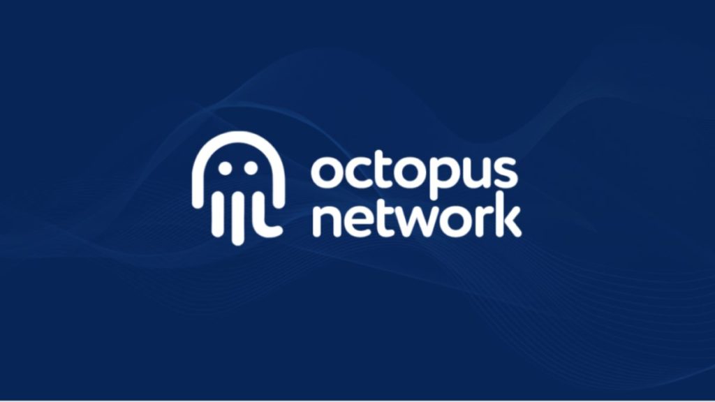 Octopus Network Despide al 40% de su Planilla Como Reacción al Mercado Bajista
