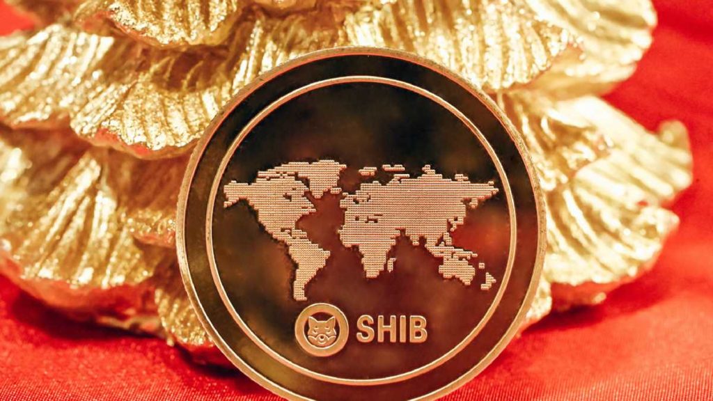 Shiba-Inu