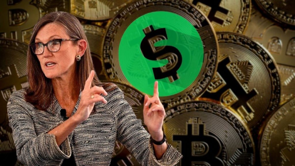 btc btc