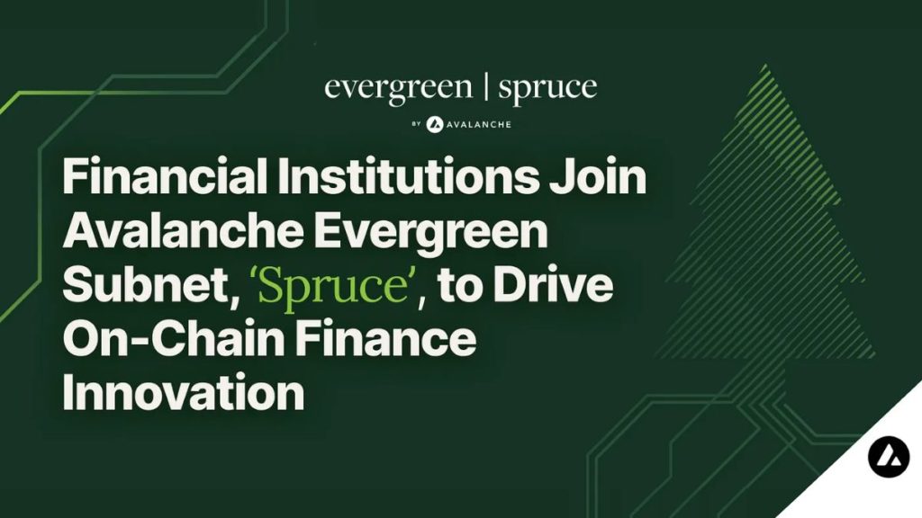 Avalanche Evergreen Subnet se Amplía Con Colaboración de Importantes Instituciones Financieras