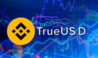 Binance Zero Maker Fee