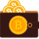 Bitcoin Wallets