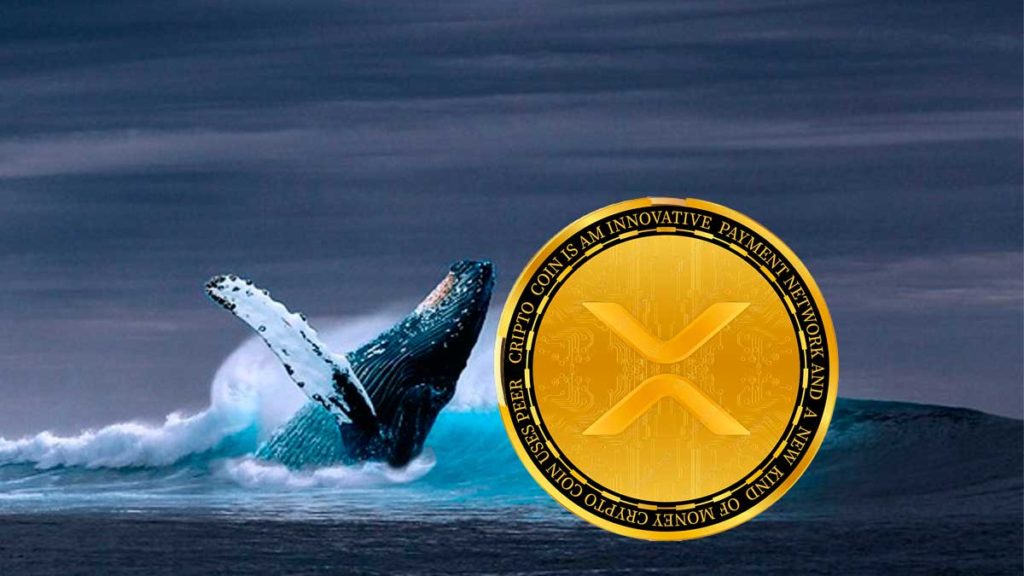 XRP Whales