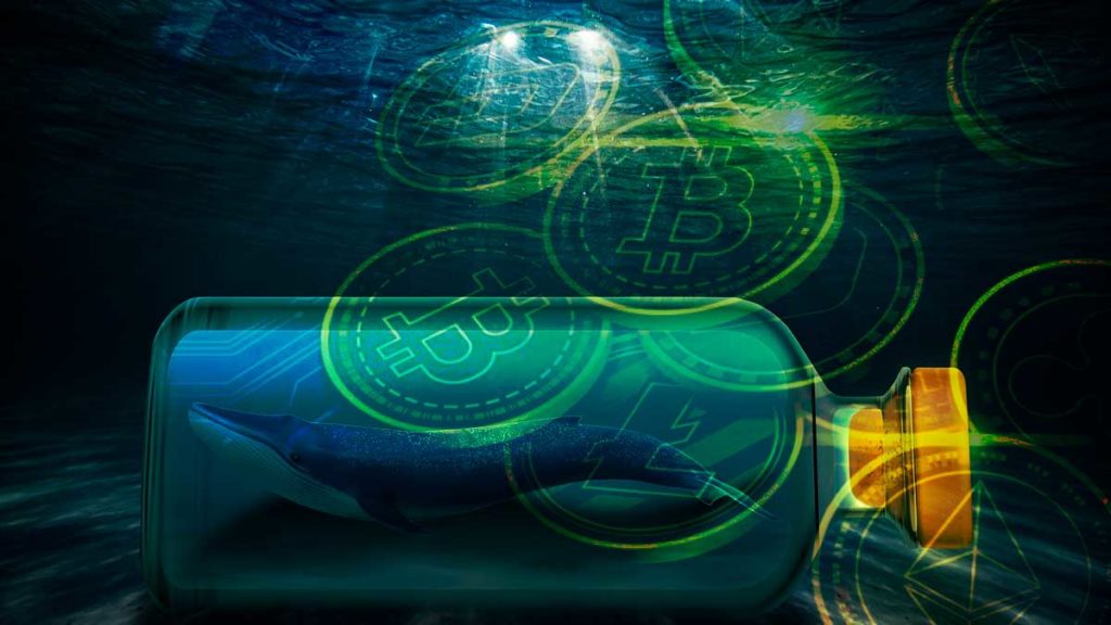 Altcoin Whales