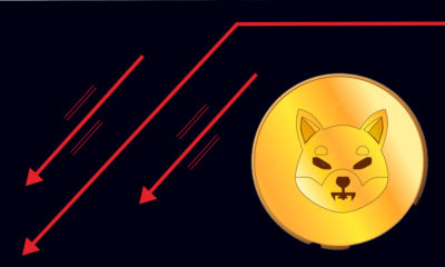 Shiba Inu