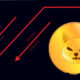 Shiba Inu
