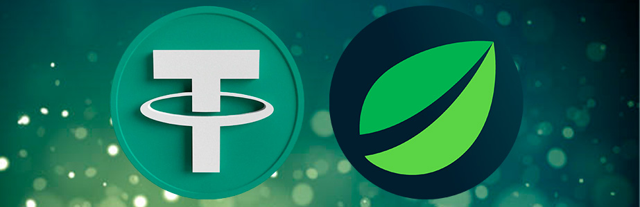 Tether y Bitfinex Celebran la Victoria Legal al Desestimarse la Demanda Colectiva