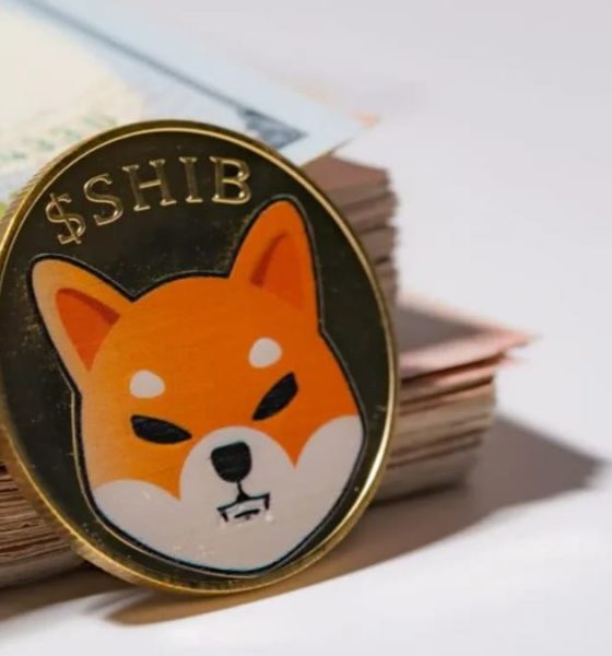 shiba inu shib featured