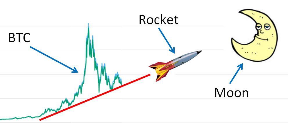 large investors in bitcoin