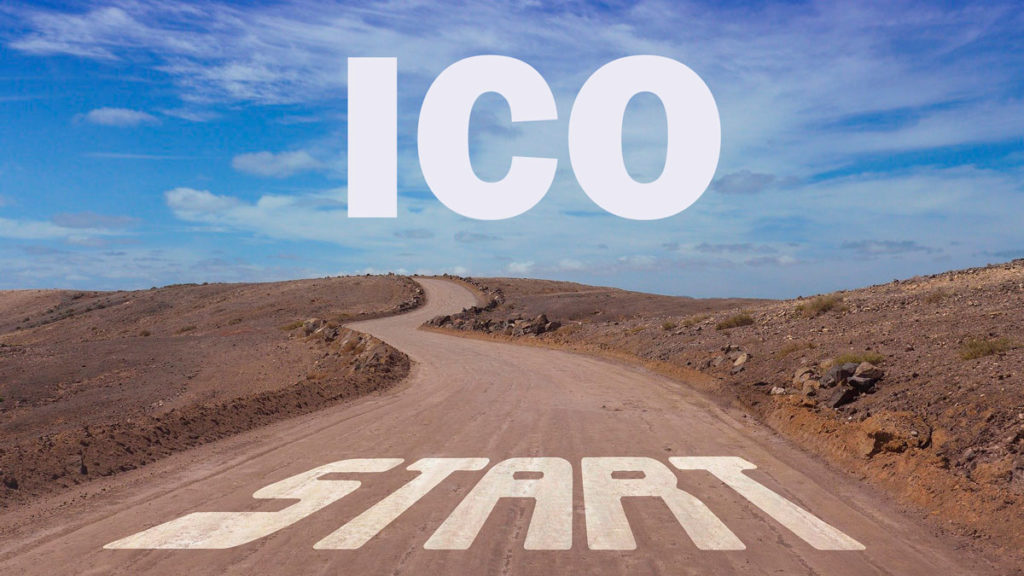 Evaluating an Initial Coin Offering Investment