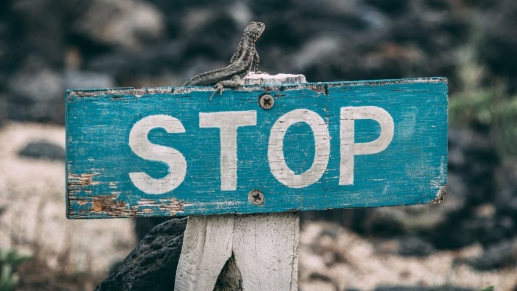 Russia ban crypto