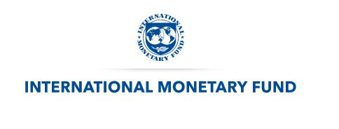 IMF director says No one-size-fits-all model for CBDCs