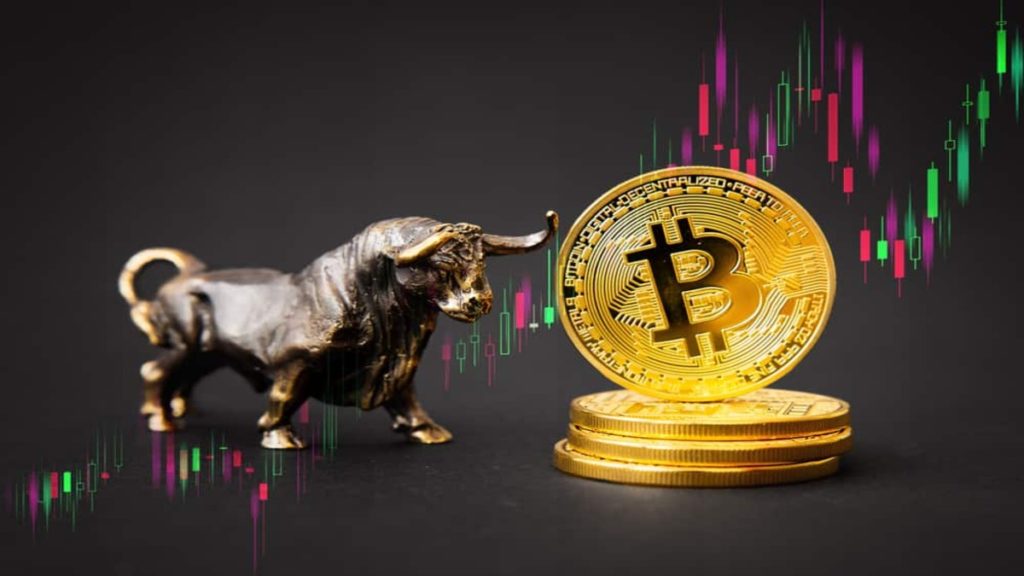 Crypto Bull is coming