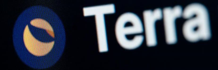 After the collapse of Terra ecosystems' cryptocurrency, a group of retail investors is looking for Do Kwon, co-founder of Terraform Labs.