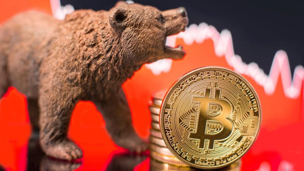 Seven-figure Bitcoin balances have taken a hit, approximately a year after Bitcoin reached its previous all-time high.