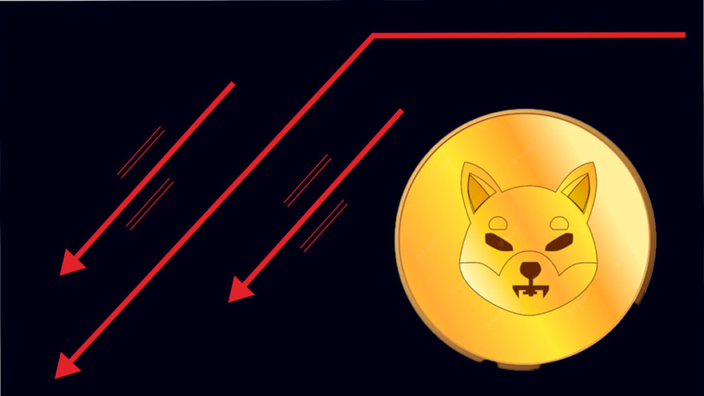Shiba Inu