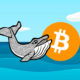 Bitcoin Whales on the Move