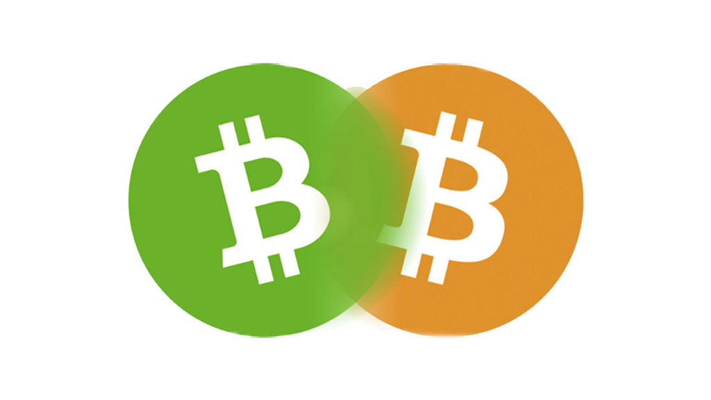 Bitcoin Cash And Bitcoin SV Rises