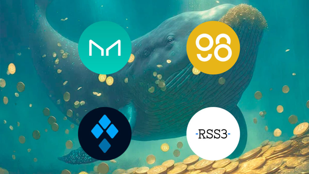 Whales Are Accumulating These 4 Tokens. Is it Time to Buy?