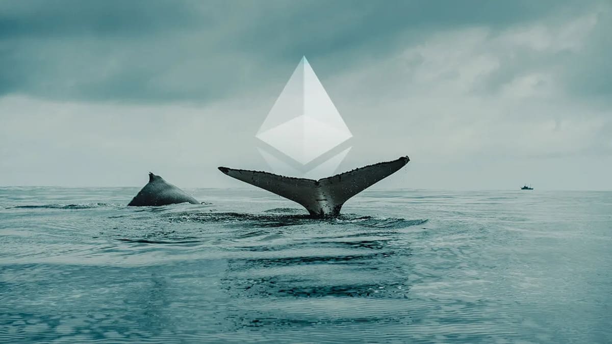 ethereum whale featured