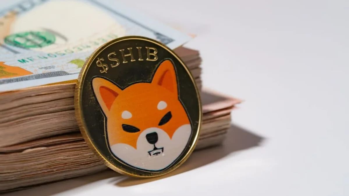 shiba inu shib featured