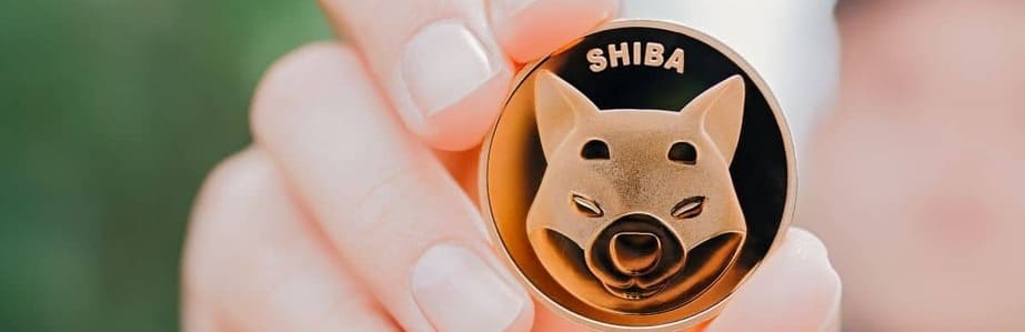 shiba inu shib post
